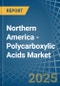 Northern America - Polycarboxylic Acids - Market Analysis, Forecast, Size, Trends and Insights - Product Image