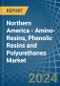 Northern America - Amino-Resins, Phenolic Resins and Polyurethanes (In Primary Forms) - Market Analysis, Forecast, Size, Trends and Insights - Product Image