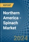 Northern America - Spinach - Market Analysis, Forecast, Size, Trends and Insights - Product Thumbnail Image