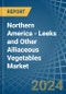 Northern America - Leeks and Other Alliaceous Vegetables - Market Analysis, Forecast, Size, Trends and Insights - Product Image