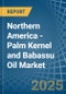 Northern America - Palm Kernel and Babassu Oil - Market Analysis, Forecast, Size, Trends and Insights - Product Thumbnail Image