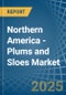 Northern America - Plums and Sloes - Market Analysis, Forecast, Size, Trends and Insights - Product Thumbnail Image