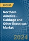 Northern America - Cabbage and Other Brassicas - Market Analysis, Forecast, Size, Trends and Insights - Product Image
