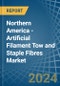 Northern America - Artificial Filament Tow and Staple Fibres - Market Analysis, Forecast, Size, Trends and Insights - Product Image