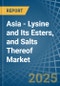 Asia - Lysine and Its Esters, and Salts Thereof - Market Analysis, Forecast, Size, Trends and Insights - Product Thumbnail Image