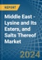 Middle East - Lysine and Its Esters, and Salts Thereof - Market Analysis, Forecast, Size, Trends and Insights - Product Thumbnail Image