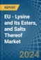 EU - Lysine and Its Esters, and Salts Thereof - Market Analysis, Forecast, Size, Trends and Insights - Product Thumbnail Image