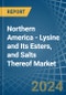 Northern America - Lysine and Its Esters, and Salts Thereof - Market Analysis, Forecast, Size, Trends and Insights - Product Thumbnail Image