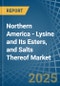 Northern America - Lysine and Its Esters, and Salts Thereof - Market Analysis, Forecast, Size, Trends and Insights - Product Thumbnail Image