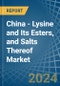 China - Lysine and Its Esters, and Salts Thereof - Market Analysis, Forecast, Size, Trends and Insights - Product Thumbnail Image