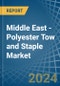 Middle East - Polyester Tow and Staple - Market Analysis, Forecast, Size, Trends and Insights - Product Thumbnail Image