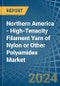 Northern America - High-Tenacity Filament Yarn of Nylon or Other Polyamides - Market Analysis, Forecast, Size, Trends and Insights - Product Thumbnail Image