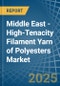 Middle East - High-Tenacity Filament Yarn of Polyesters - Market Analysis, Forecast, Size, Trends and Insights - Product Thumbnail Image