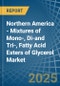 Northern America - Mixtures of Mono-, Di-and Tri-, Fatty Acid Esters of Glycerol - Market Analysis, Forecast, Size, Trends and Insights - Product Thumbnail Image