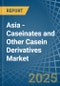 Asia - Caseinates and Other Casein Derivatives (Excluding Casein Glues) - Market Analysis, Forecast, Size, Trends and Insights - Product Thumbnail Image