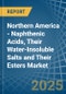 Northern America - Naphthenic Acids, Their Water-Insoluble Salts and Their Esters - Market Analysis, Forecast, Size, Trends and Insights - Product Thumbnail Image