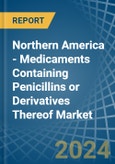 Northern America - Medicaments Containing Penicillins or Derivatives Thereof - Market Analysis, Forecast, Size, Trends and Insights- Product Image