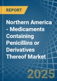 Northern America - Medicaments Containing Penicillins or Derivatives Thereof - Market Analysis, Forecast, Size, Trends and Insights- Product Image