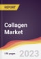 Collagen Market: Trends, Opportunities and Competitive Analysis 2023-2028 - Product Image