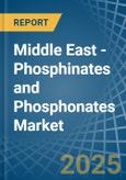 Middle East - Phosphinates (Hypophosphites) and Phosphonates (Phosphites) - Market Analysis, Forecast, Size, Trends and Insights- Product Image