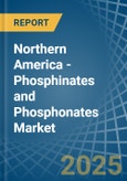 Northern America - Phosphinates (Hypophosphites) and Phosphonates (Phosphites) - Market Analysis, Forecast, Size, Trends and Insights- Product Image