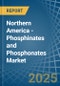 Northern America - Phosphinates (Hypophosphites) and Phosphonates (Phosphites) - Market Analysis, Forecast, Size, Trends and Insights - Product Thumbnail Image