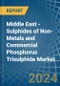 Middle East - Sulphides of Non-Metals and Commercial Phosphorus Trisulphide - Market Analysis, Forecast, Size, Trends and Insights - Product Thumbnail Image