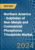 Northern America - Sulphides of Non-Metals and Commercial Phosphorus Trisulphide - Market Analysis, Forecast, Size, Trends and Insights- Product Image
