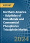 Northern America - Sulphides of Non-Metals and Commercial Phosphorus Trisulphide - Market Analysis, Forecast, Size, Trends and Insights - Product Thumbnail Image