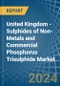 United Kingdom - Sulphides of Non-Metals and Commercial Phosphorus Trisulphide - Market Analysis, Forecast, Size, Trends and Insights - Product Image