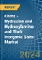 China - Hydrazine and Hydroxylamine and Their Inorganic Salts - Market Analysis, Forecast, Size, Trends and Insights - Product Image