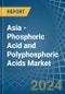 Asia - Phosphoric Acid and Polyphosphoric Acids - Market Analysis, Forecast, Size, Trends and Insights - Product Image
