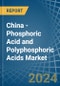 China - Phosphoric Acid and Polyphosphoric Acids - Market Analysis, Forecast, Size, Trends and Insights - Product Image
