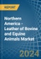 Northern America - Leather of Bovine and Equine Animals - Market Analysis, Forecast, Size, Trends and Insights - Product Image