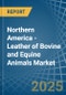 Northern America - Leather of Bovine and Equine Animals - Market Analysis, Forecast, Size, Trends and Insights - Product Image