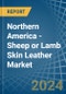 Northern America - Sheep or Lamb Skin Leather - Market Analysis, Forecast, Size, Trends and Insights - Product Thumbnail Image