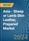 Asia - Sheep or Lamb Skin Leather, Prepared - Market Analysis, Forecast, Size, Trends and Insights - Product Thumbnail Image