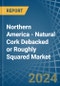 Northern America - Natural Cork Debacked or Roughly Squared - Market Analysis, Forecast, Size, Trends and Insights - Product Thumbnail Image