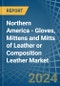 Northern America - Gloves, Mittens and Mitts of Leather or Composition Leather - Market Analysis, Forecast, Size, Trends and Insights - Product Image