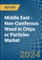 Middle East - Non-Coniferous Wood in Chips or Particles - Market Analysis, Forecast, Size, Trends and insights - Product Image