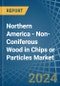 Northern America - Non-Coniferous Wood in Chips or Particles - Market Analysis, Forecast, Size, Trends and insights - Product Image