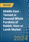 Middle East - Tanned or Dressed Whole Furskins of Rabbit, Hare or Lamb - Market Analysis, Forecast, Size, Trends and Insights - Product Thumbnail Image