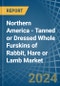 Northern America - Tanned or Dressed Whole Furskins of Rabbit, Hare or Lamb - Market Analysis, Forecast, Size, Trends and Insights - Product Thumbnail Image