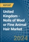 United Kingdom - Noils of Wool or Fine Animal Hair - Market Analysis, Forecast, Size, Trends and Insights - Product Thumbnail Image