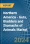 Northern America - Guts, Bladders and Stomachs of Animals - Market Analysis, Forecast, Size, Trends and Insights - Product Image