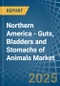 Northern America - Guts, Bladders and Stomachs of Animals - Market Analysis, Forecast, Size, Trends and Insights - Product Thumbnail Image