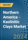 Northern America - Kaolinitic Clays (Ball and Plastic Clays) - Market Analysis, Forecast, Size, Trends and Insights- Product Image