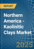 Northern America - Kaolinitic Clays (Ball and Plastic Clays) - Market Analysis, Forecast, Size, Trends and Insights- Product Image