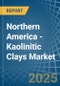 Northern America - Kaolinitic Clays (Ball and Plastic Clays) - Market Analysis, Forecast, Size, Trends and Insights - Product Thumbnail Image