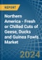 Northern America - Fresh or Chilled Cuts of Geese, Ducks and Guinea Fowls - Market Analysis, Forecast, Size, Trends and Insights - Product Thumbnail Image